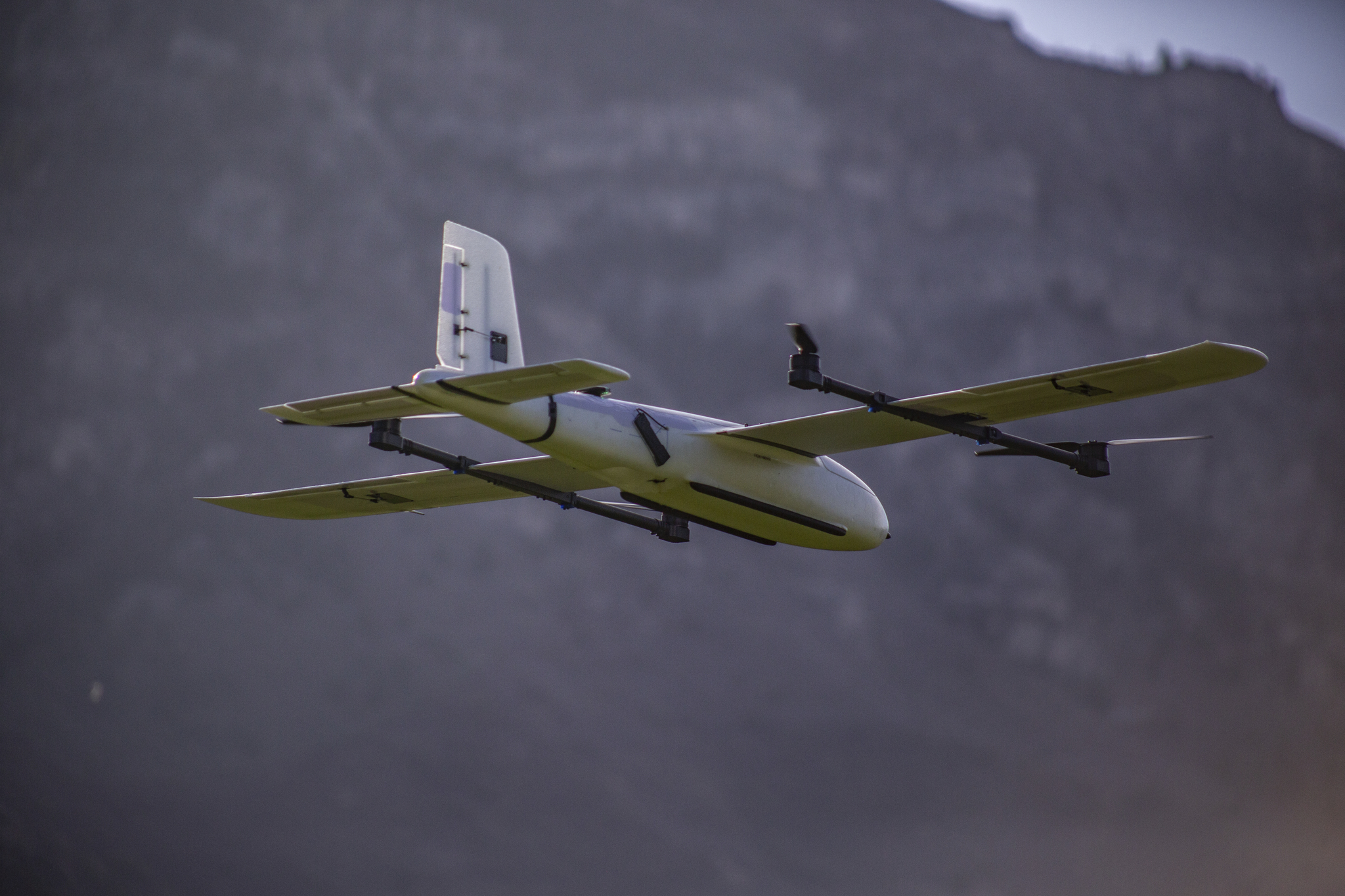 VISTA: VTOL for Intelligent Survey and Targeted Acquisition